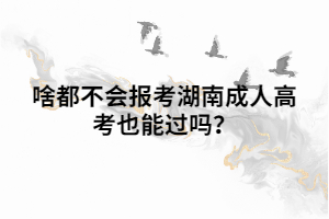 啥都不會報(bào)考湖南成人高考也能過嗎？