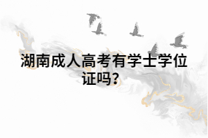 湖南成人高考有學士學位證嗎？