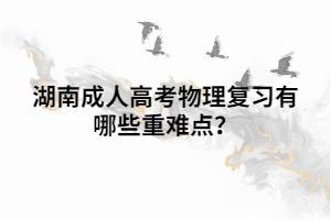 湖南成人高考物理復(fù)習(xí)有哪些重難點？