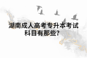 湖南成人高考專升本考試科目有那些？
