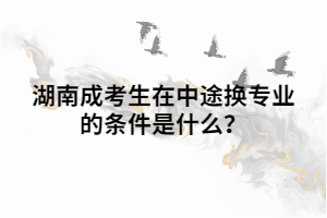 湖南成考生在中途換專業(yè)的條件是什么？