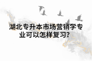 湖北專升本市場營銷學(xué)專業(yè)可以怎樣復(fù)習(xí)？