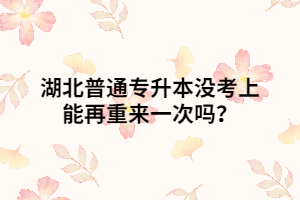 湖北普通專升本沒考上能再重來一次嗎？