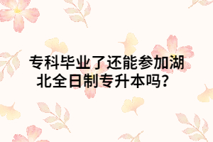 ?？飘厴I(yè)了還能參加湖北全日制專升本嗎？