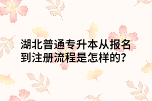 湖北普通專升本從報(bào)名到注冊(cè)流程是怎樣的？