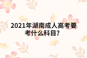 2021年湖南成人高考要考什么科目？