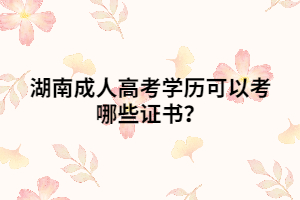 湖南成人高考學(xué)歷可以考哪些證書(shū)？