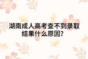 湖南成人高考查不到錄取結(jié)果什么原因？