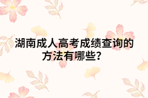 湖南成人高考成績查詢的方法有哪些？