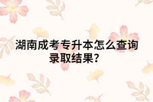 湖南成考專升本怎么查詢錄取結(jié)果？