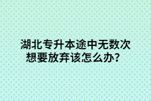 湖北專升本途中無數(shù)次想要放棄該怎么辦?