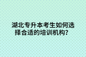 湖北專升本考生如何選擇合適的培訓機構(gòu)？