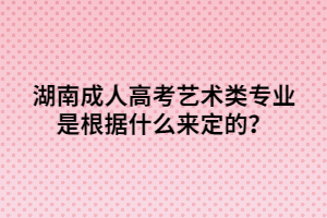 湖南成人高考藝術(shù)類專業(yè)是根據(jù)什么來定的？