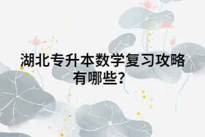 湖北專升本數(shù)學(xué)復(fù)習(xí)攻略有哪些?