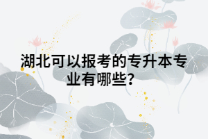 湖北可以報考的專升本的專業(yè)有哪些？