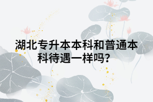 湖北專升本本科和普通本科待遇一樣嗎？