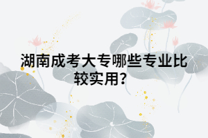 湖南成考大專哪些專業(yè)比較實(shí)用？