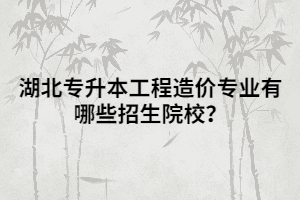湖北專升本工程造價專業(yè)有哪些招生院校？