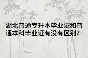 湖北普通專升本畢業(yè)證和普通本科畢業(yè)證有沒(méi)有區(qū)別？
