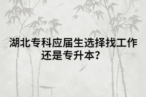 湖北專科應屆生選擇找工作還是專升本？