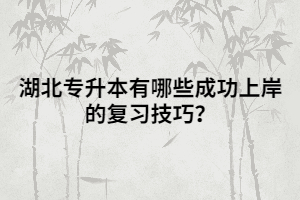 湖北專升本有哪些成功上岸的復(fù)習(xí)技巧?