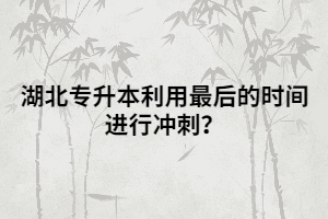 湖北專升本利用最后的時(shí)間進(jìn)行沖刺？