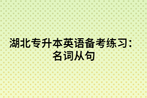 湖北專升本英語備考練習:名詞從句