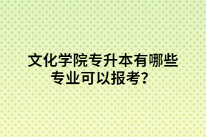 文化學(xué)院專升本有哪些專業(yè)可以報考？