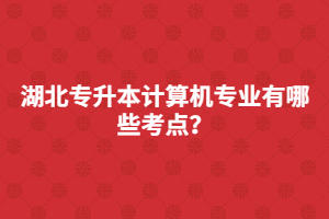 湖北專(zhuān)升本計(jì)算機(jī)專(zhuān)業(yè)有哪些考點(diǎn)？