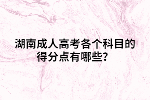 湖南成人高考各個科目的得分點有哪些？