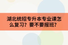 湖北統(tǒng)招專升本專業(yè)課怎么復(fù)習(xí)？要不要報(bào)班？
