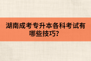 湖南成考專升本各科考試有哪些技巧？