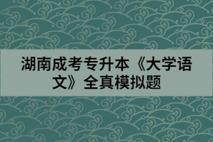 湖南成考專(zhuān)升本《大學(xué)語(yǔ)文》全真模擬題(二)