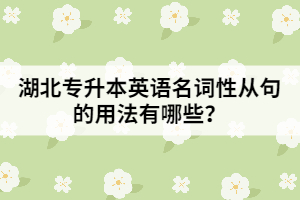 湖北專升本英語名詞性從句的用法有哪些？