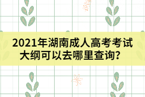 2021年湖南成人高考考試大綱可以去哪里查詢？