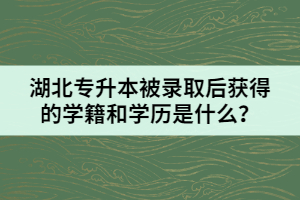 湖北專升本被錄取后獲得的學(xué)籍和學(xué)歷是什么？