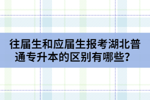 往屆生和應屆生報考湖北普通專升本的區(qū)別有哪些？