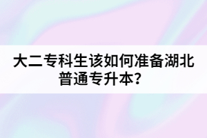 大二?？粕撊绾螠?zhǔn)備湖北普通專升本？