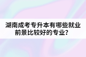 湖南成考專升本有哪些就業(yè)前景比較好的專業(yè)？