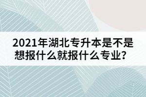 2021年湖北專升本是不是想報什么就報什么專業(yè)？