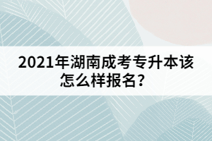 2021年湖南成考專升本該怎么樣報(bào)名？