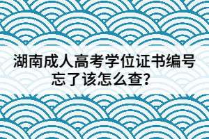 湖南成人高考學位證書編號忘了該怎么查？