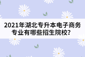 2021年湖北專升本電子商務(wù)專業(yè)有哪些招生院校？