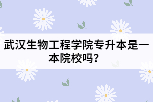 武漢生物工程學(xué)院專升本是一本院校嗎？