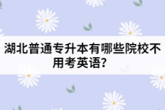 湖北普通專升本有哪些院校不用考英語？