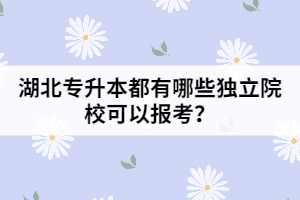 湖北專升本都有哪些獨(dú)立院?？梢詧?bào)考？