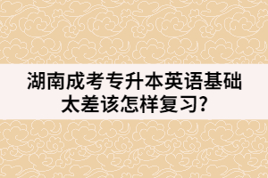 湖南成考專升本英語基礎(chǔ)太差該怎樣復(fù)習(xí)?