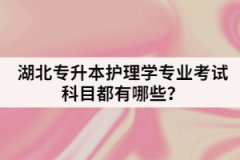 江漢大學(xué)專升本計(jì)算機(jī)科目該怎樣復(fù)習(xí)？