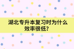湖北專升本復(fù)習(xí)時(shí)為什么效率很低？