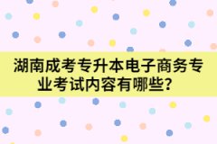 湖南成考專升本電子商務(wù)專業(yè)考試內(nèi)容有哪些？